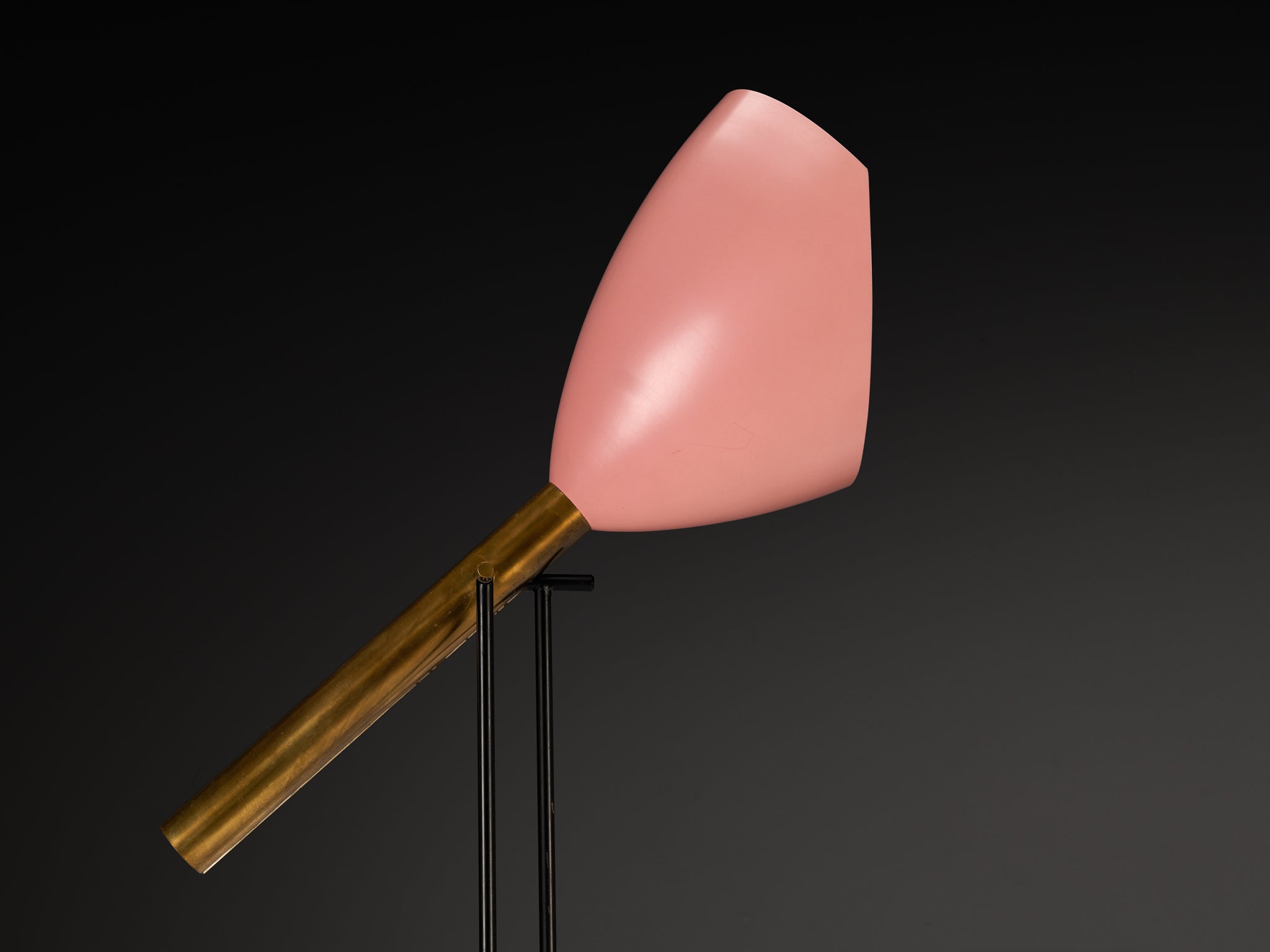 Angelo Lelii for Arredoluce ‘Televisione’ Floor Lamp in Brass and Aluminum Lighting Morentz