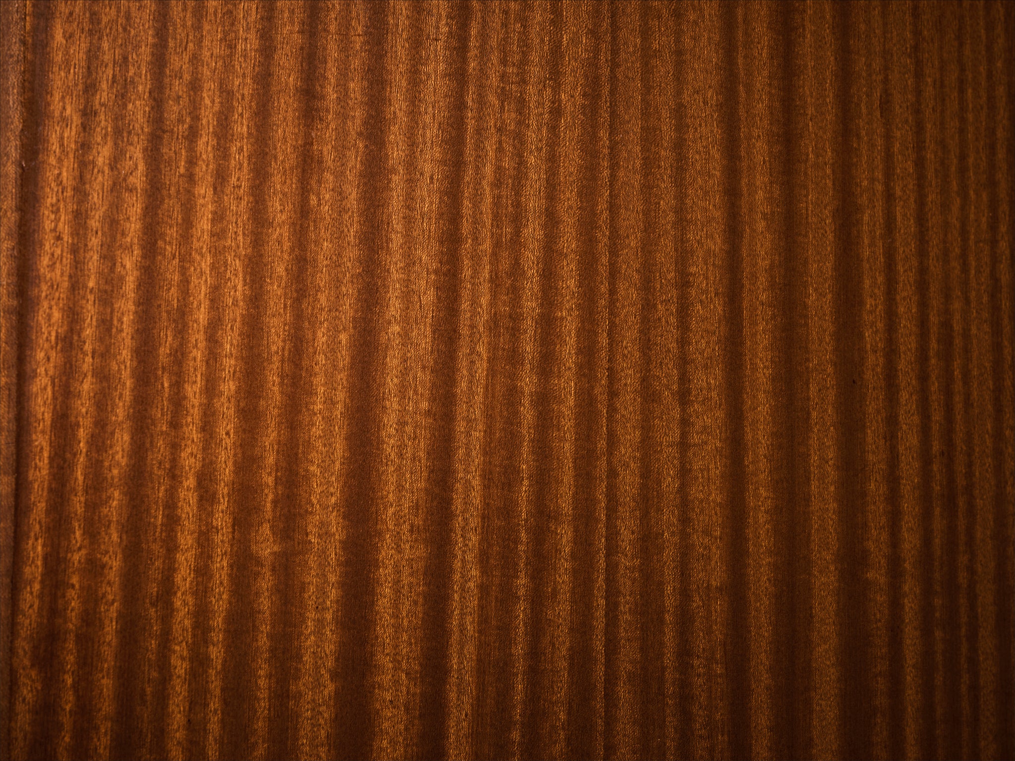 1950s Mid-Century Modern French Cabinet in Mahogany with Sculptural Base case pieces and storage cabinets Morentz