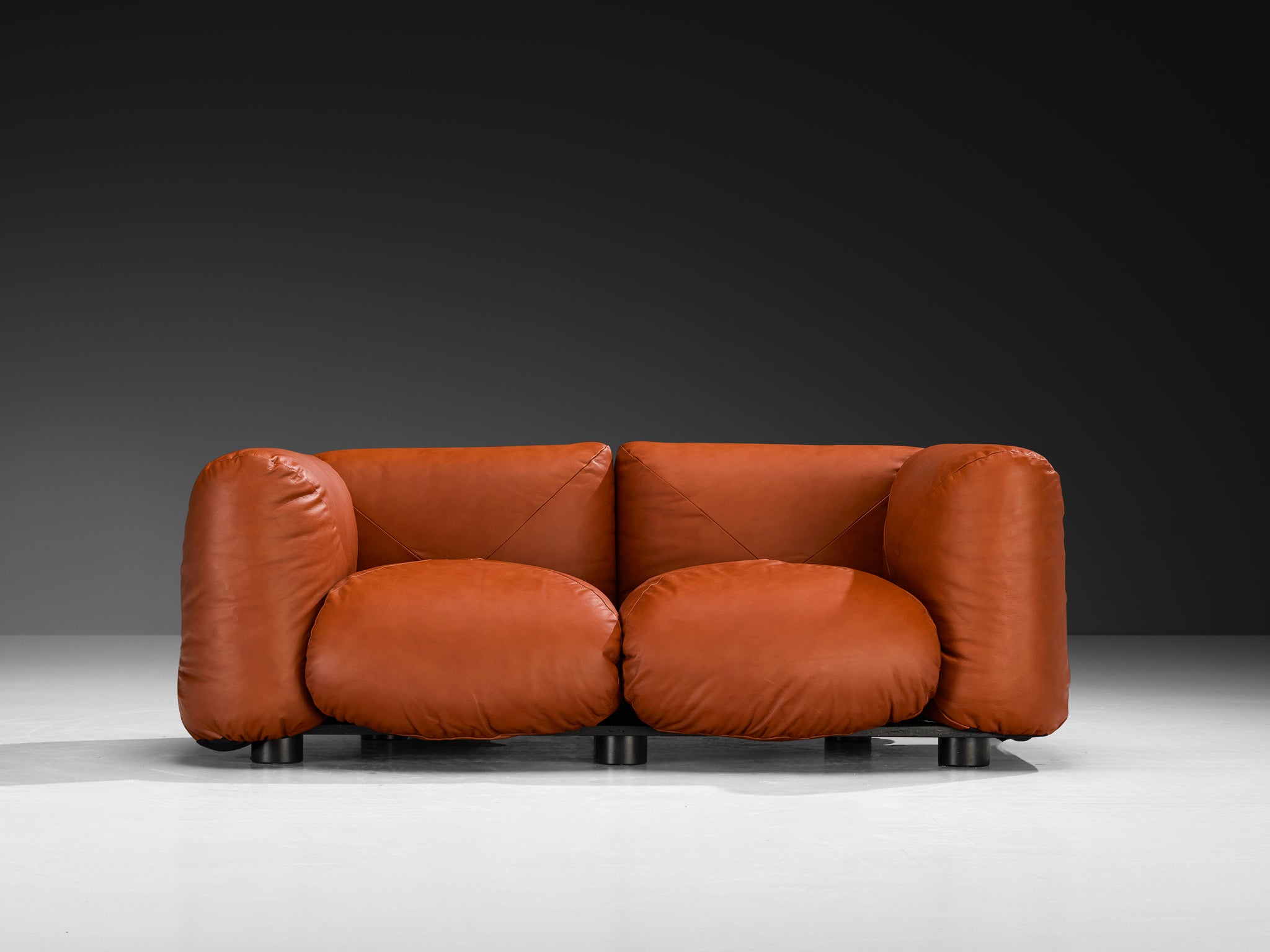 Mario Marenco for Arflex Marius&Marius Sofa in Brownish Red Leather Seating Morentz