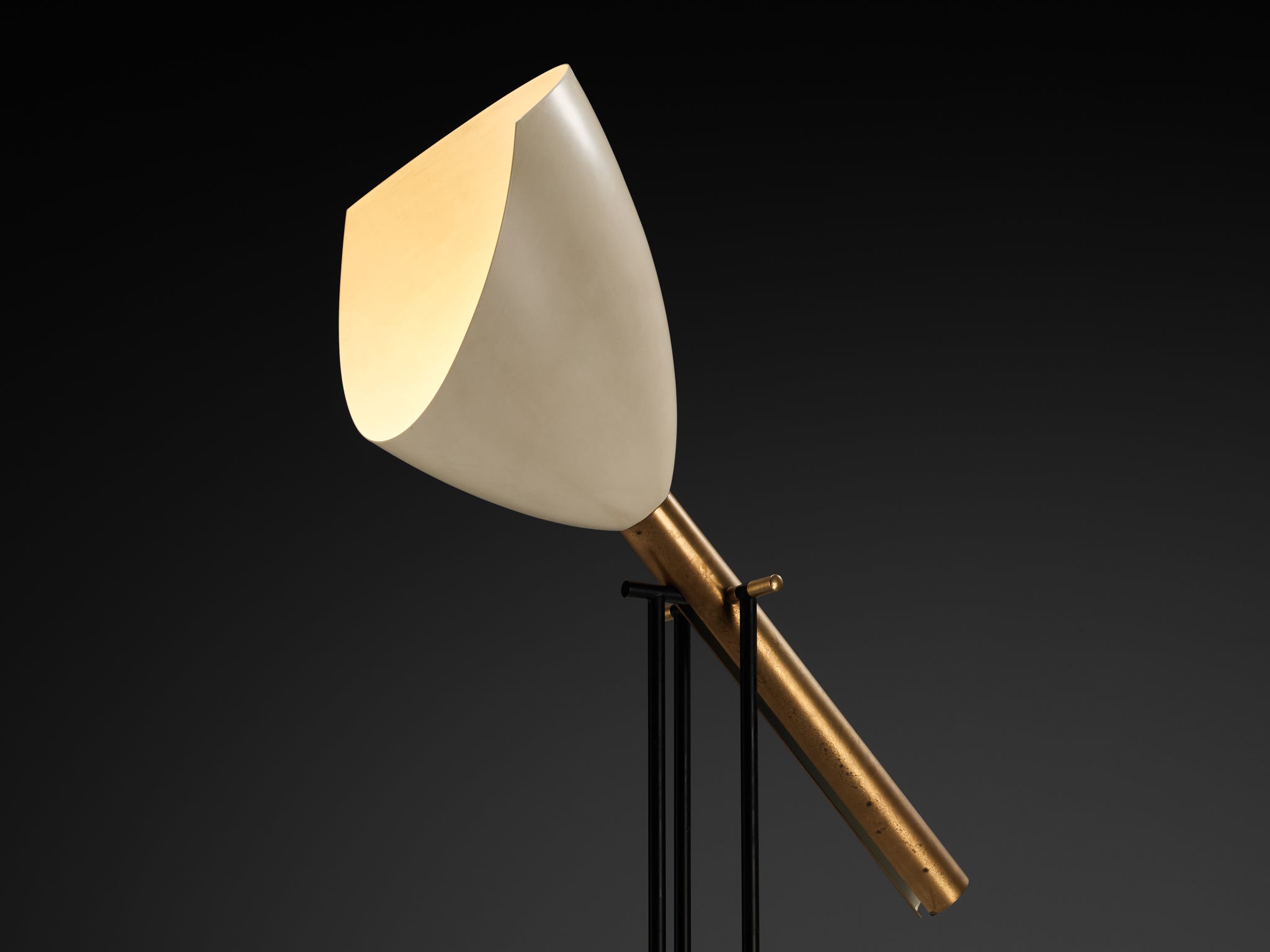Angelo Lelii for Arredoluce ‘Televisione’ Floor Lamp in Brass and Aluminum Lighting Morentz