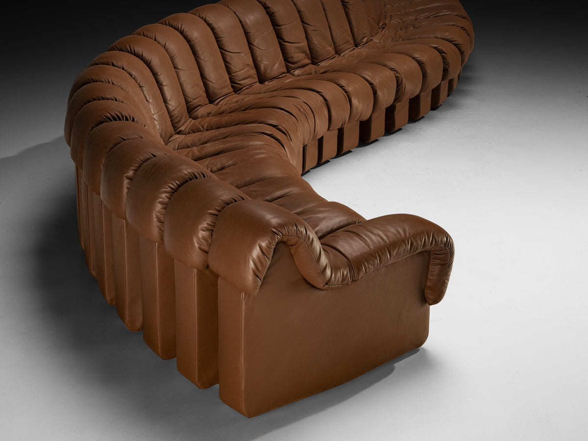 De Sede DS-600 'Snake' Sectional Sofa in Brown Leather Seating Morentz