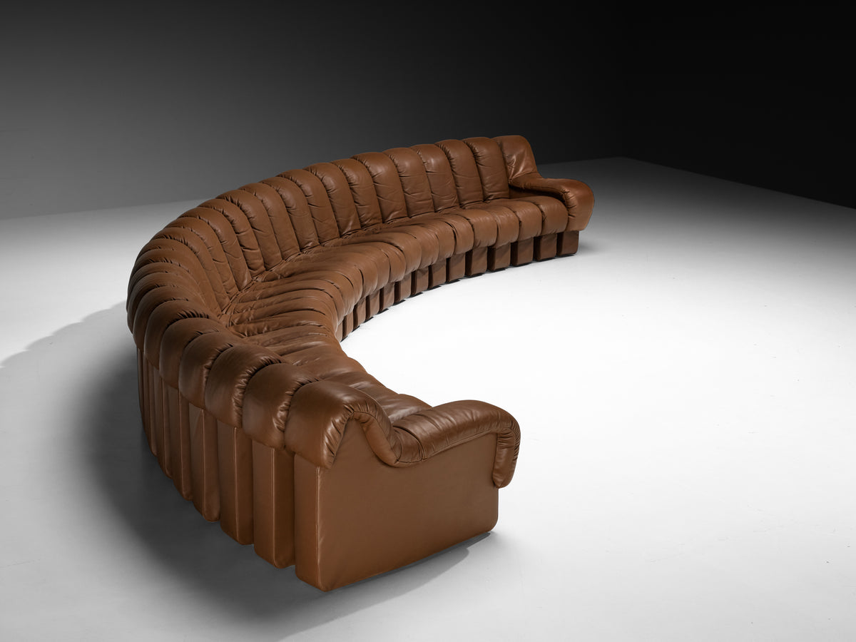 De Sede DS-600 'Snake' Sectional Sofa in Brown Leather Seating Morentz
