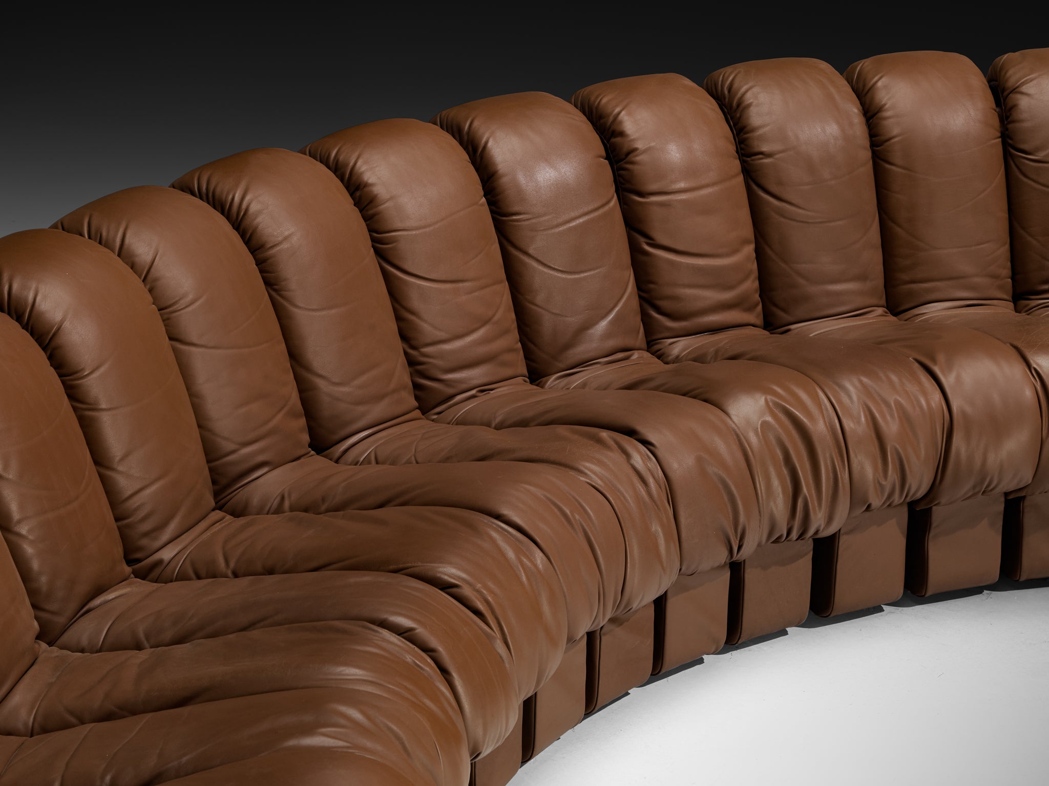 De Sede DS-600 'Snake' Sectional Sofa in Brown Leather Seating Morentz