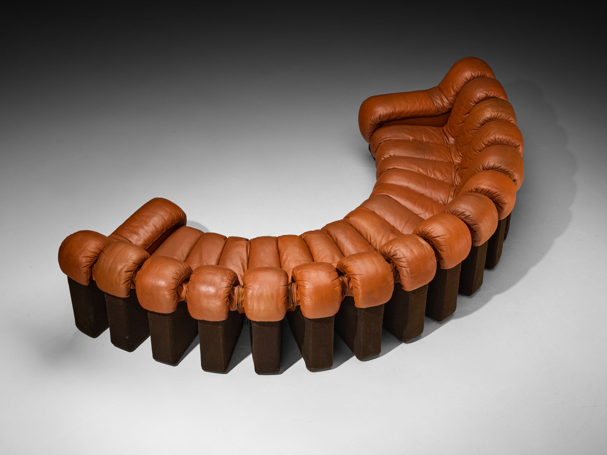 De Sede DS-600 'Snake' Sectional Sofa in Reddish-Brown Patinated Leather Seating Morentz