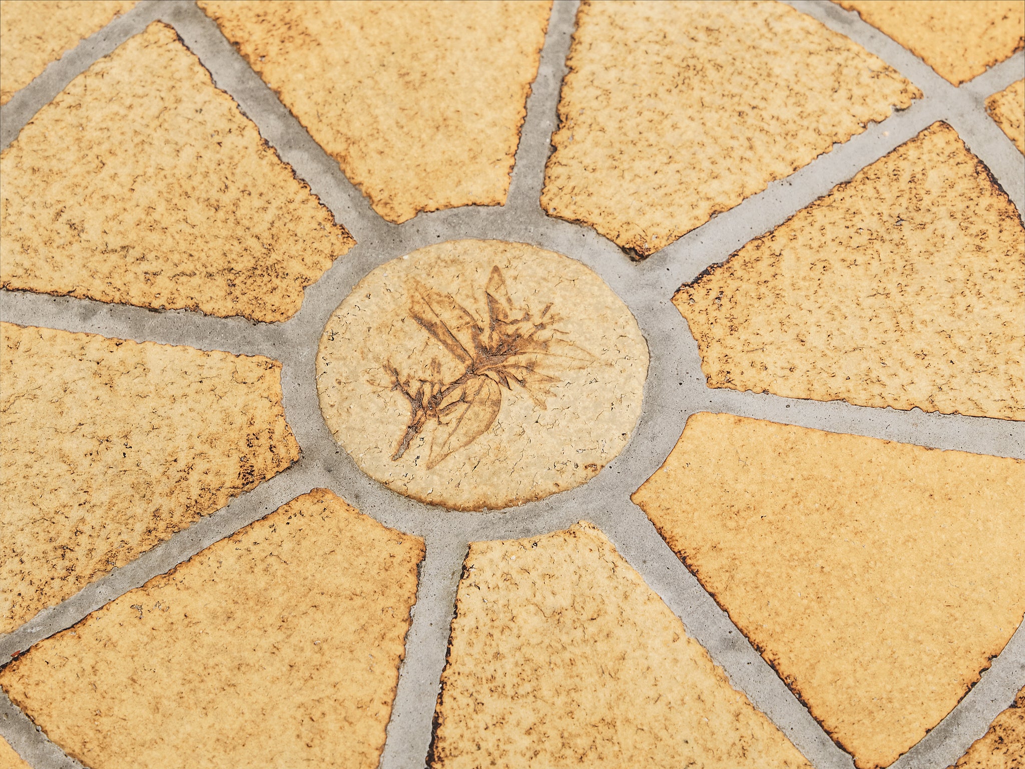 Roger Capron Round Coffee Table with Fauna Imprints in Ceramic and Wood Tables Morentz