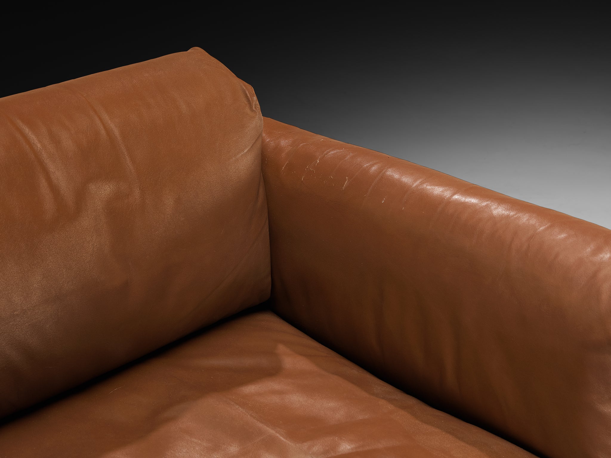 Afra & Tobia Scarpa for Gavina 'Bastiano' Lounge Chair in Ash and Leat
