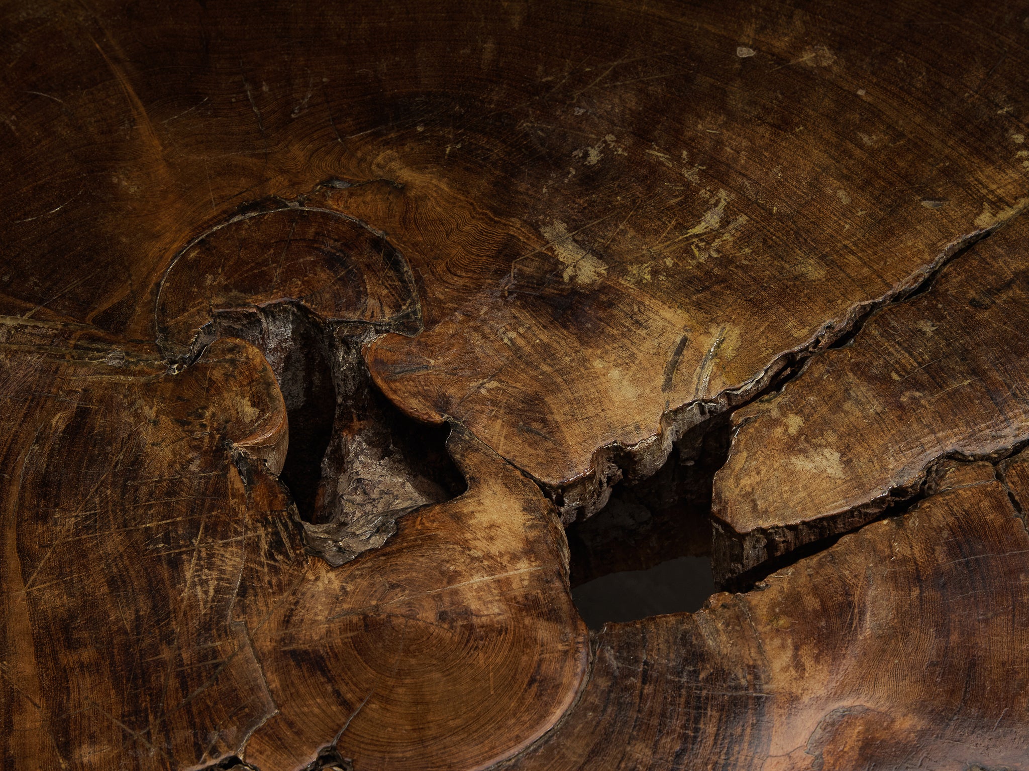 José Zanine Caldas Hand-Carved Coffee Table in Brazilian Hardwood Tables Morentz
