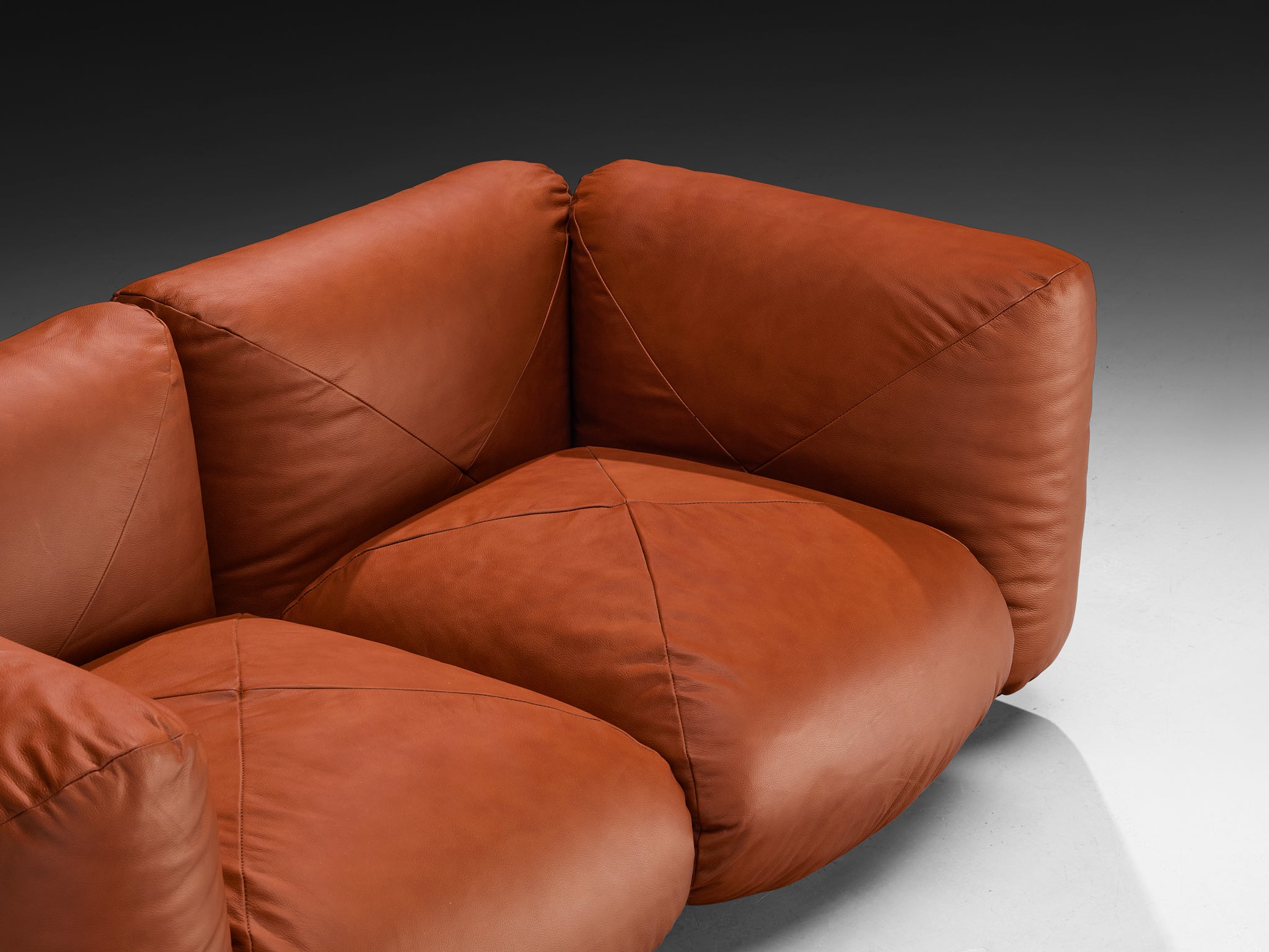 Mario Marenco for Arflex Marius&Marius Sofa in Brownish Red Leather Seating Morentz