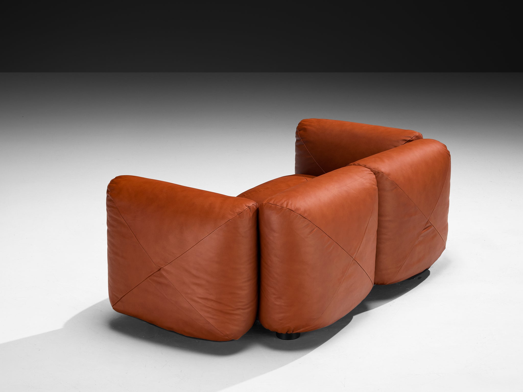 Mario Marenco for Arflex Marius&Marius Sofa in Brownish Red Leather Seating Morentz