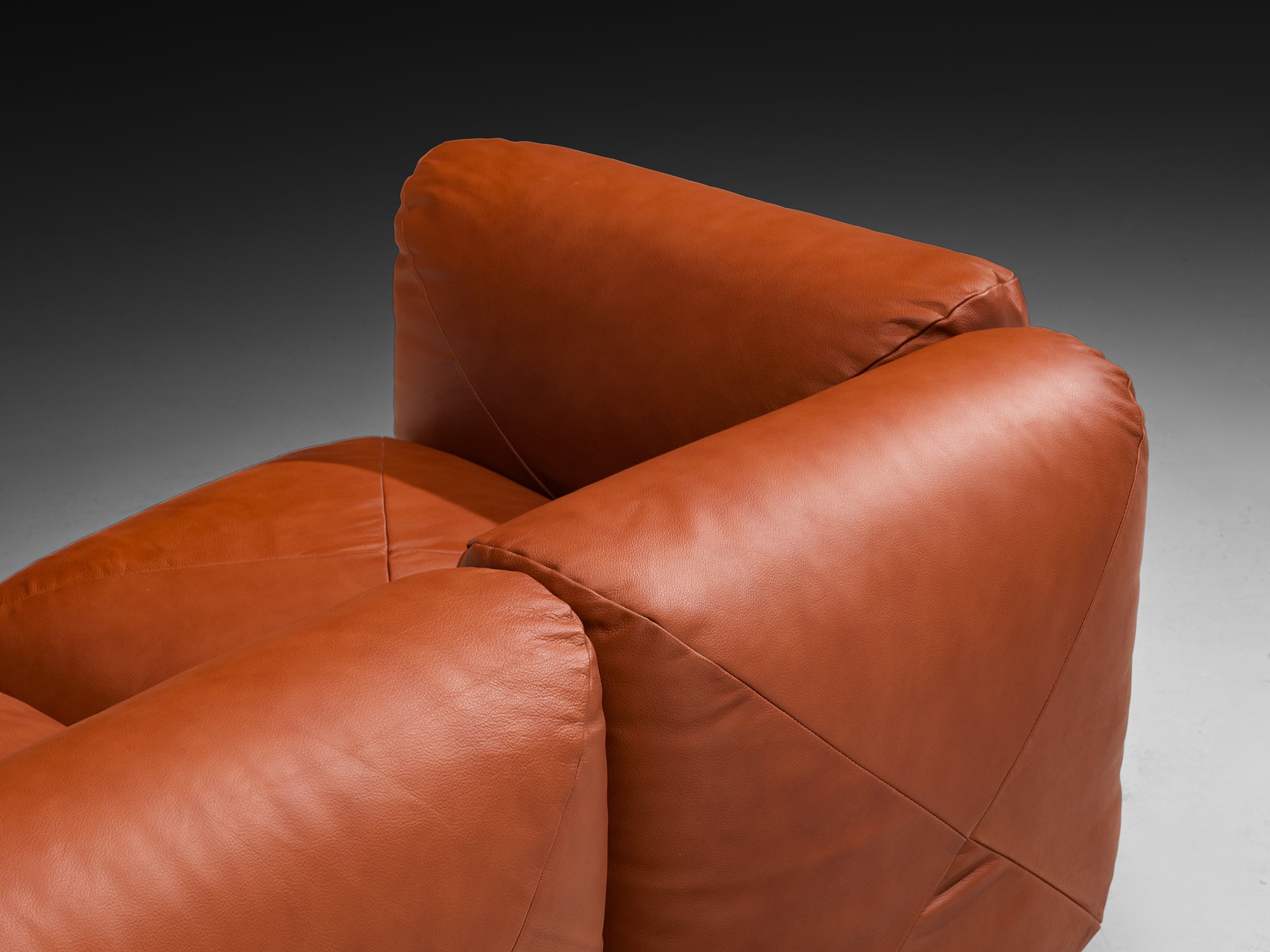 Mario Marenco for Arflex Marius&Marius Sofa in Brownish Red Leather Seating Morentz