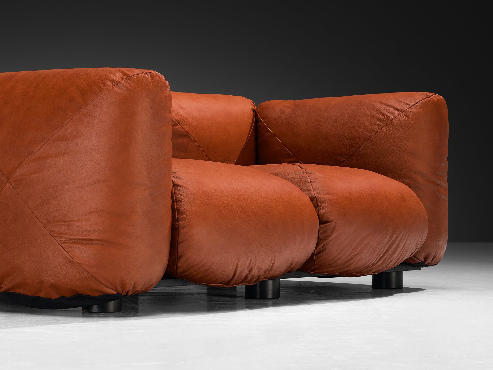 Mario Marenco for Arflex Marius&Marius Sofa in Brownish Red Leather Seating Morentz