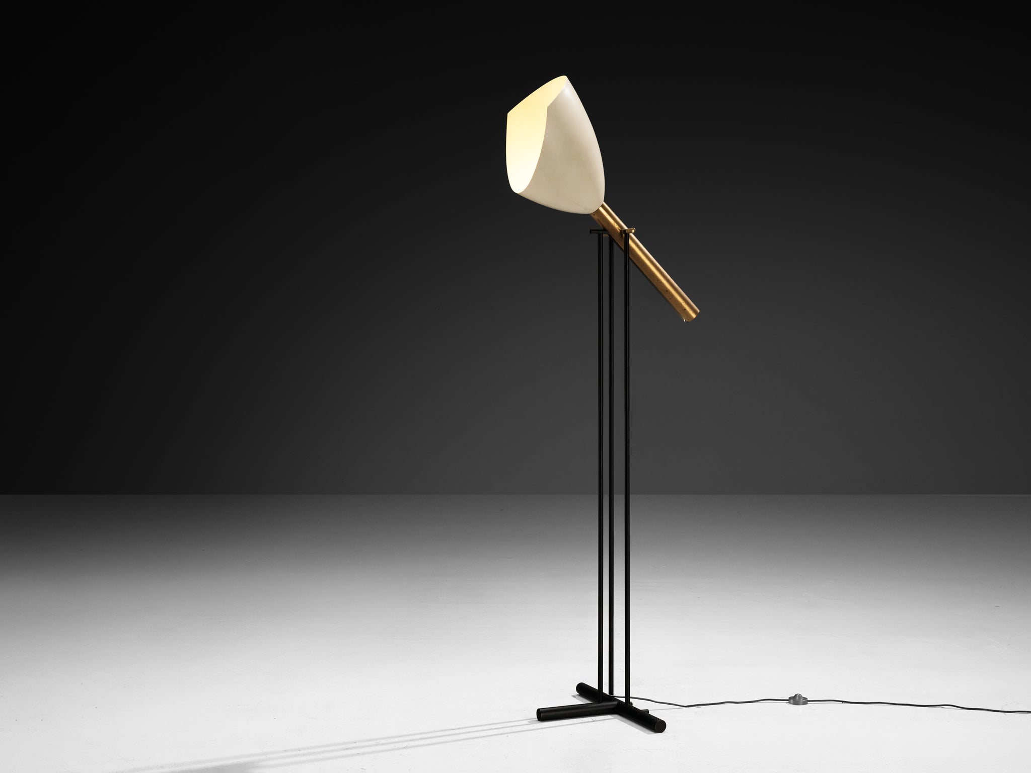 Angelo Lelii for Arredoluce ‘Televisione’ Floor Lamp in Brass and Aluminum Lighting Morentz