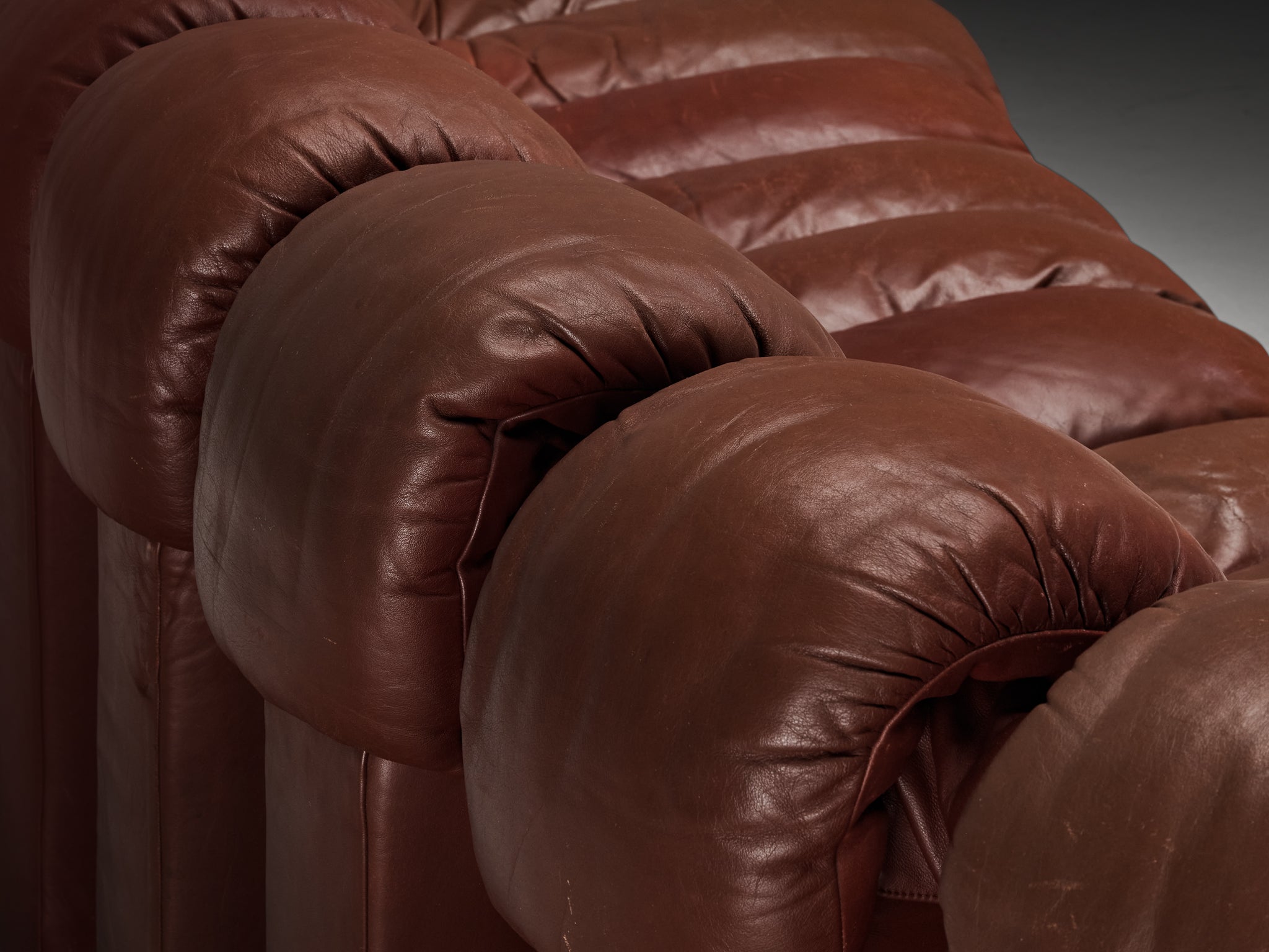 De Sede DS-600 'Snake' Sectional Sofa in Brown Leather Seating Morentz