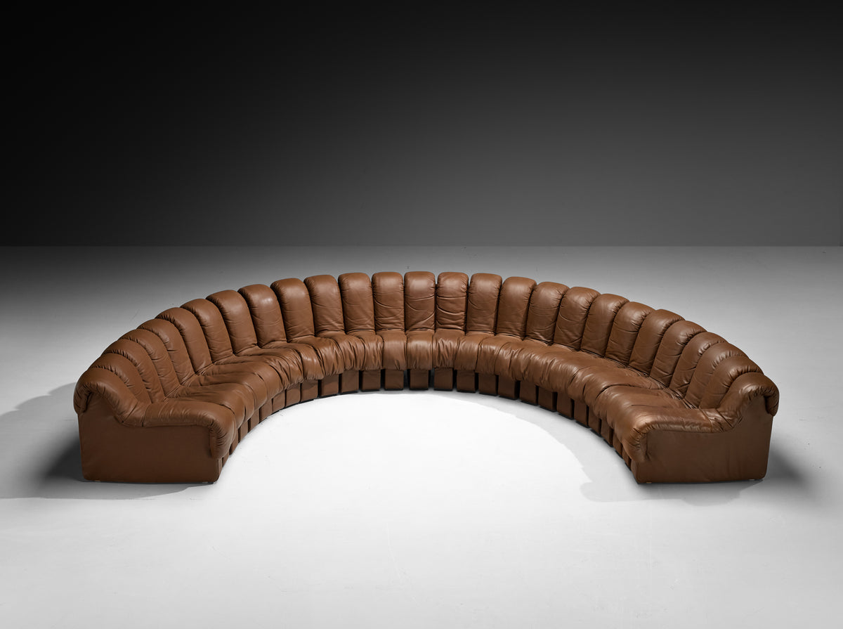 De Sede DS-600 'Snake' Sectional Sofa in Brown Leather Seating Morentz