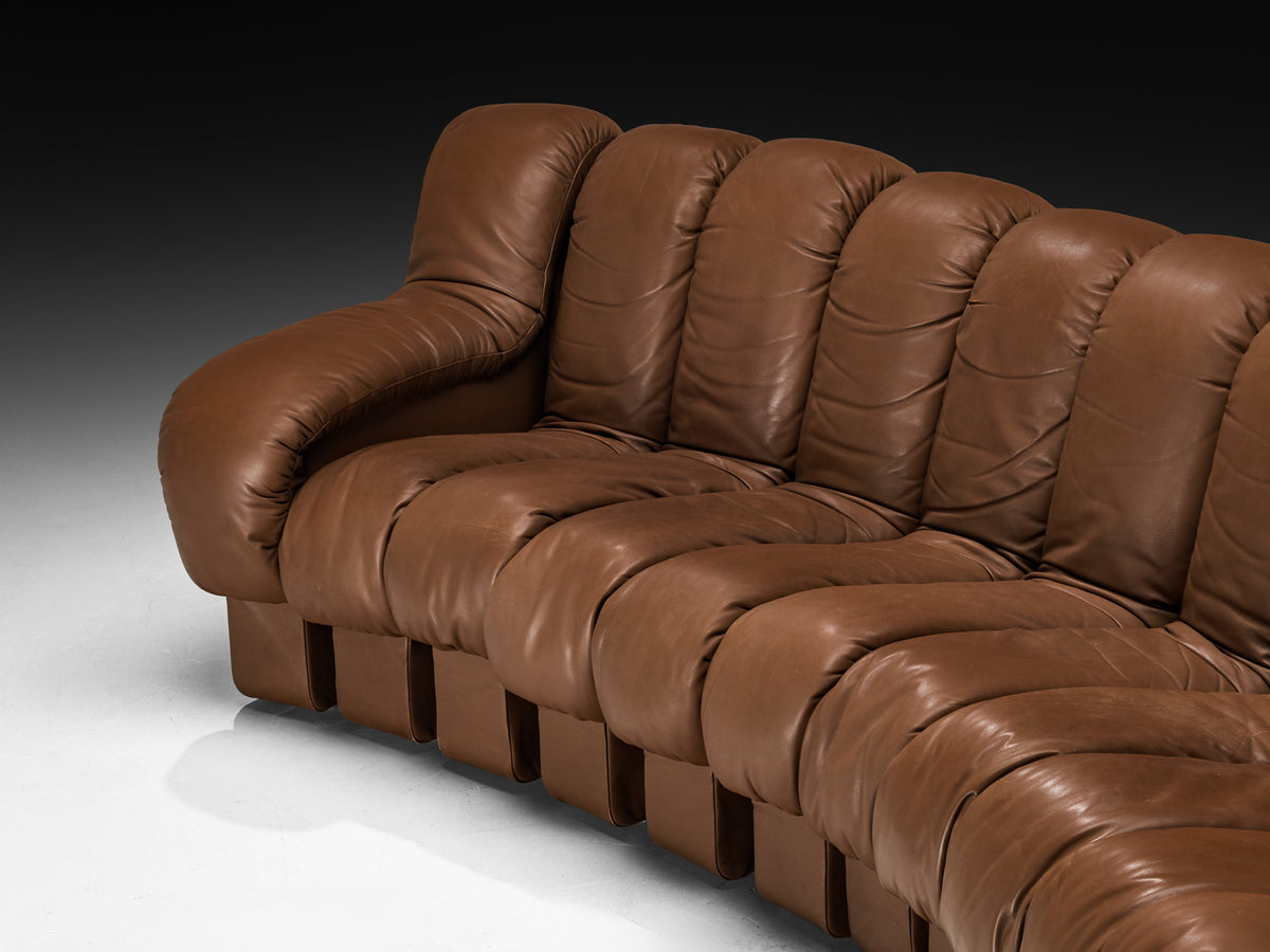 De Sede DS-600 'Snake' Sectional Sofa in Brown Leather Seating Morentz