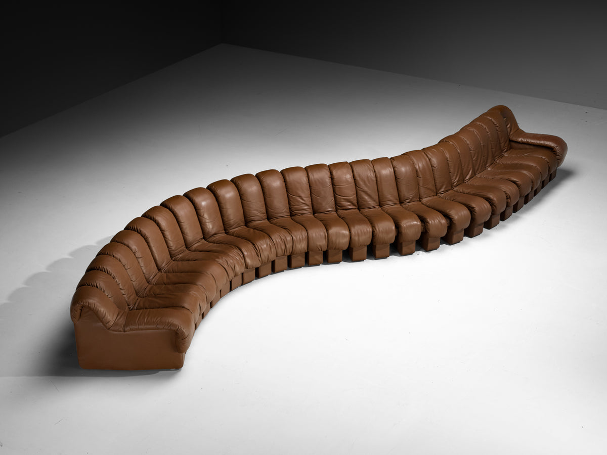 De Sede DS-600 'Snake' Sectional Sofa in Brown Leather Seating Morentz