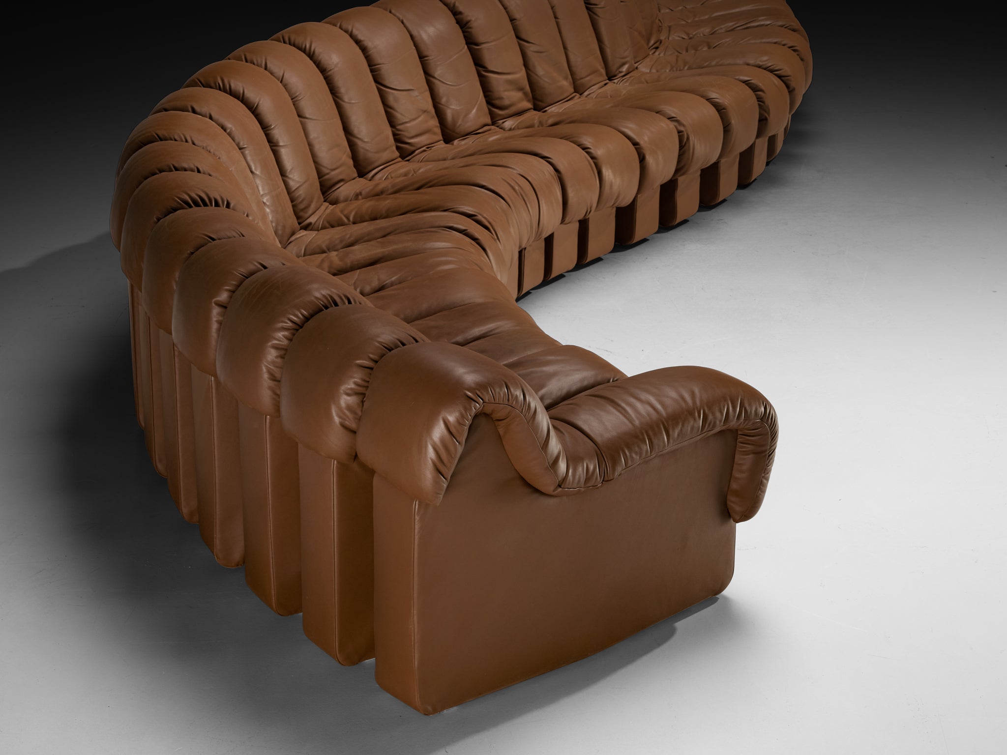 De Sede DS-600 'Snake' Sectional Sofa in Brown Leather