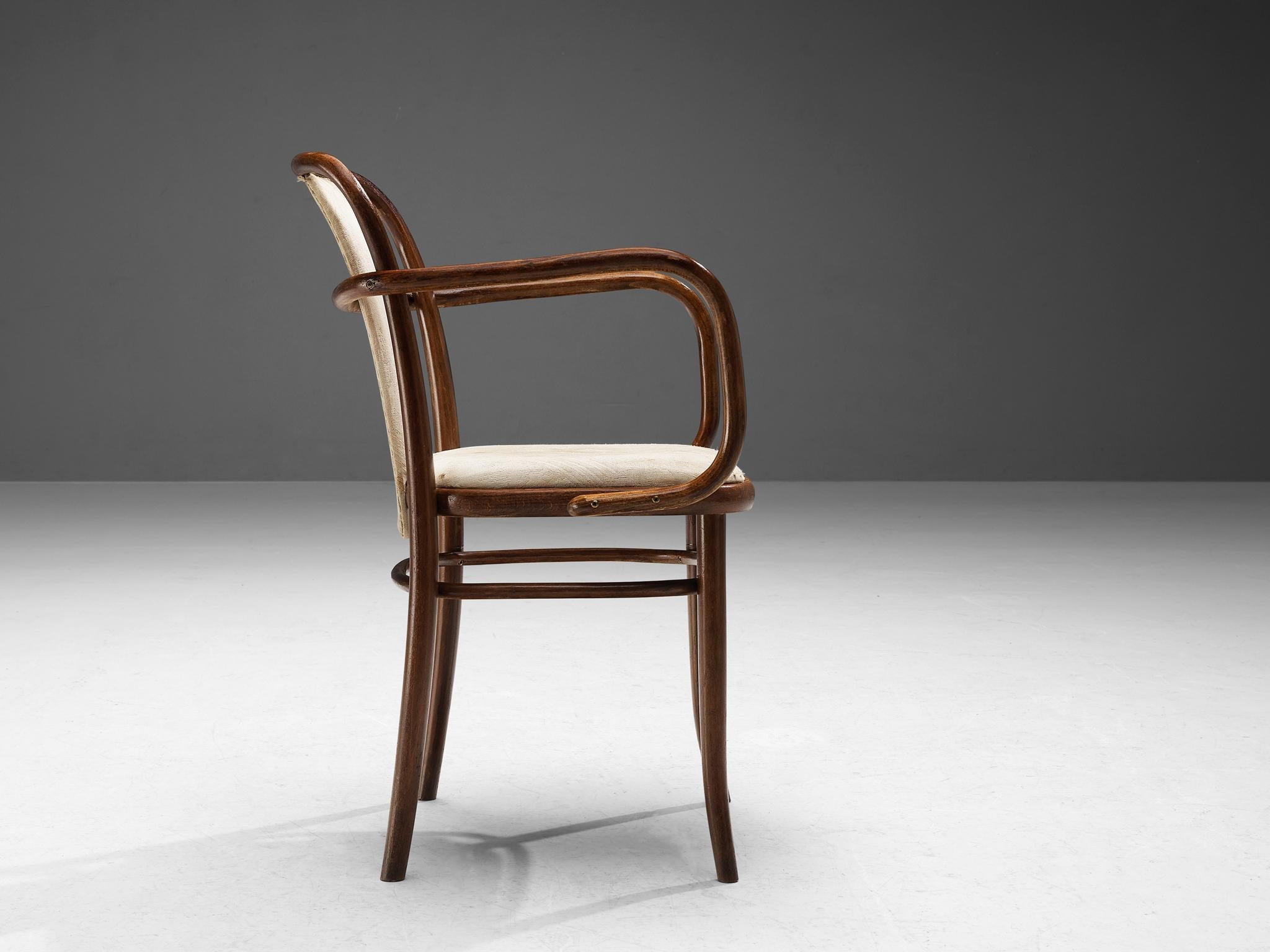 TON Bentwood Armchair in Light Upholstery