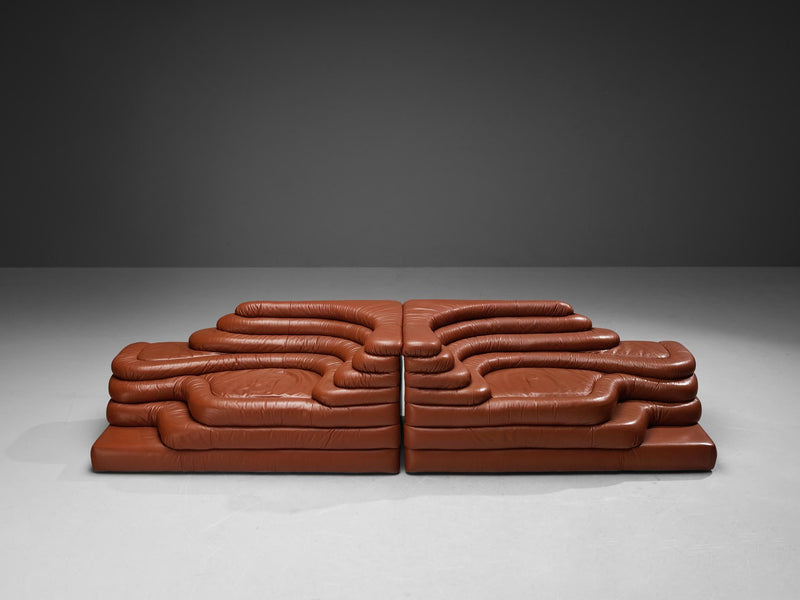 Ubald Klug for De Sede Pair of 'Terrazza' Landscapes in Red Leather